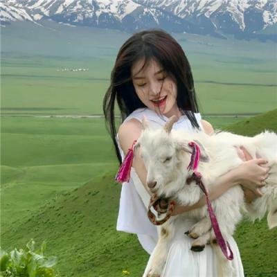 寅次郎的故事5 望乡篇