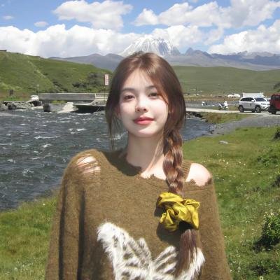 圣诞快乐:马达加斯加